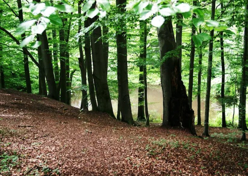 Schloß Marienthal, Germany